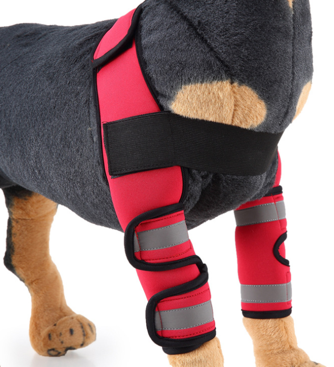 Canine Knee Support & Protector