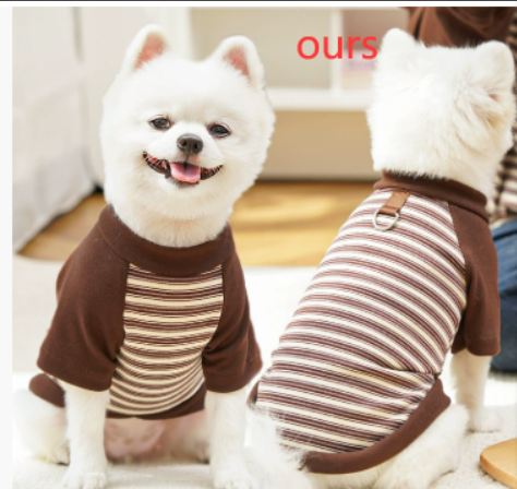 Petite Pooch Summer Styles