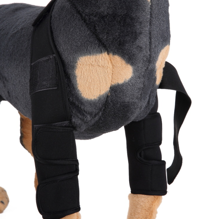 Canine Knee Support & Protector