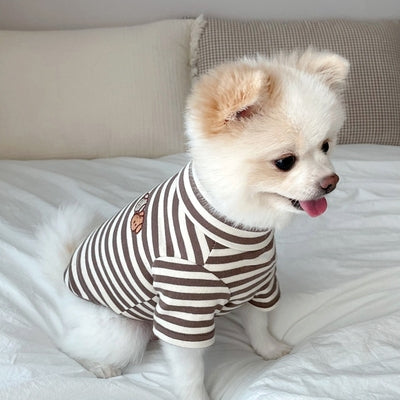 Petite Pooch Summer Styles