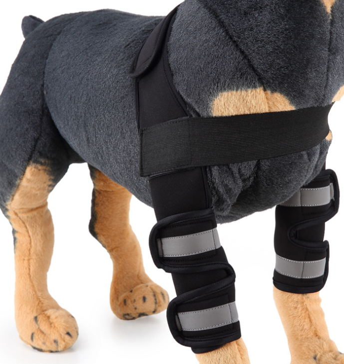 Canine Knee Support & Protector