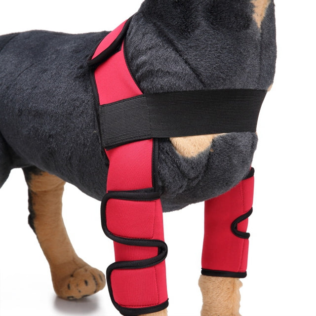 Canine Knee Support & Protector