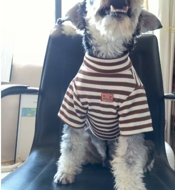 Petite Pooch Summer Styles