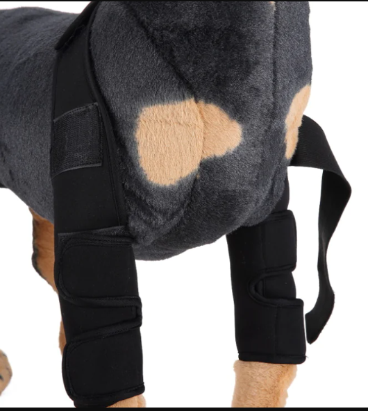Canine Knee Support & Protector
