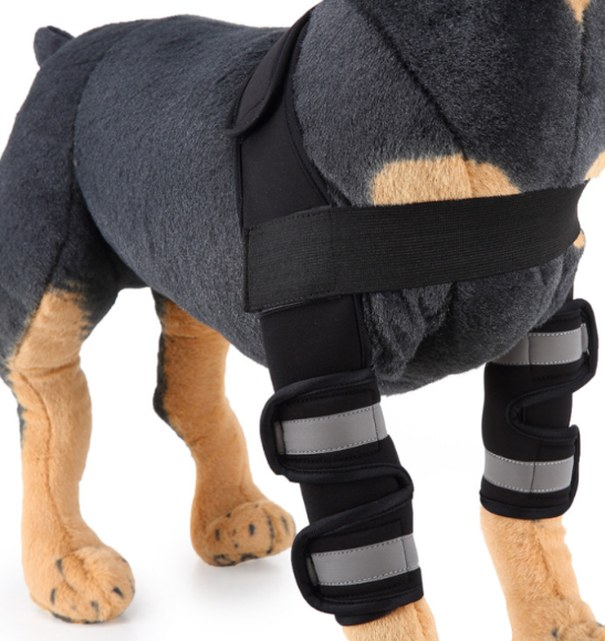 Canine Knee Support & Protector